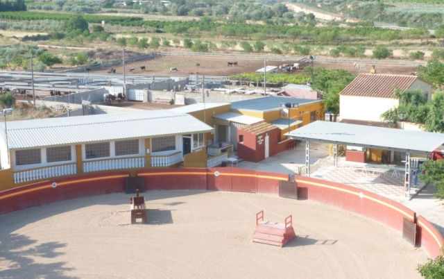  The entire property 